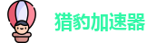 猎豹加速器旧版